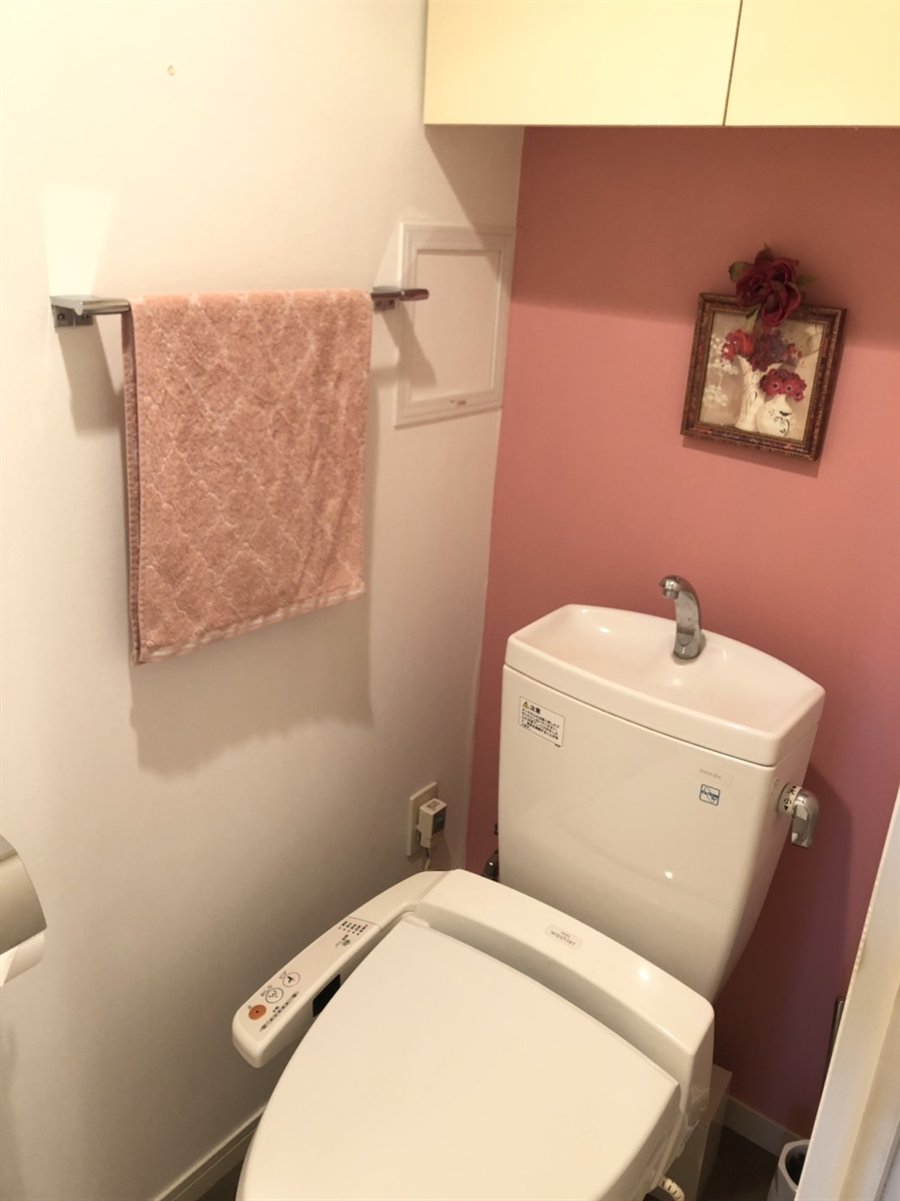 Sakura Latte を塗ったトイレの壁